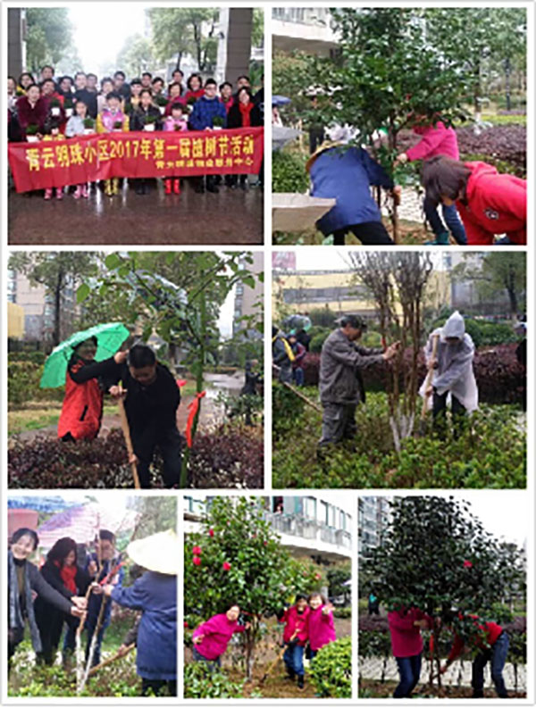 播一片綠林，種一份愛心